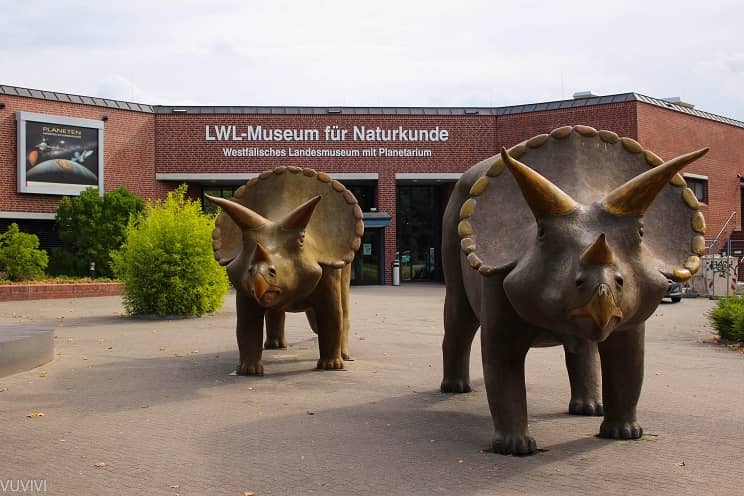 LWL Museum Münster Naturkunde