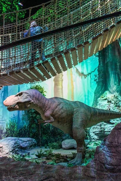 Abenteuermuseum Odysseum Dinos T-Rex Koeln