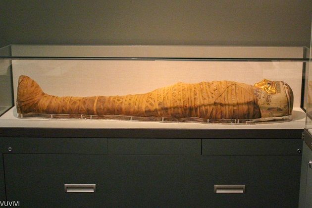 Ägyptisches Museum Leipzig Mumie