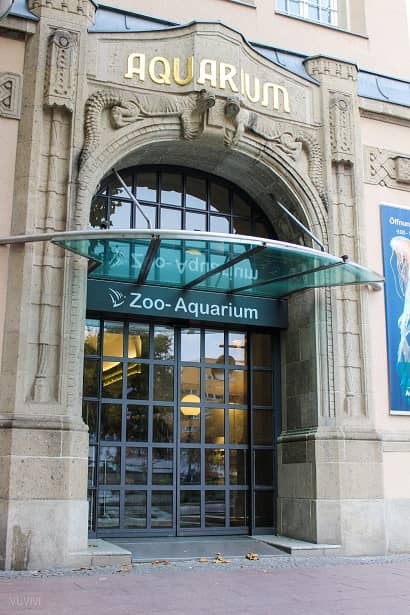 Aquarium Berlin Ausflugsziel Kinder