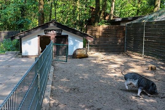Ausflug Tiere Kobelt Zoo Frankfurt