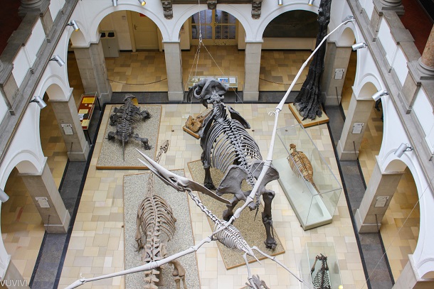 Ausflugsziel Familie Muenchen Palaeontologisches Museum
