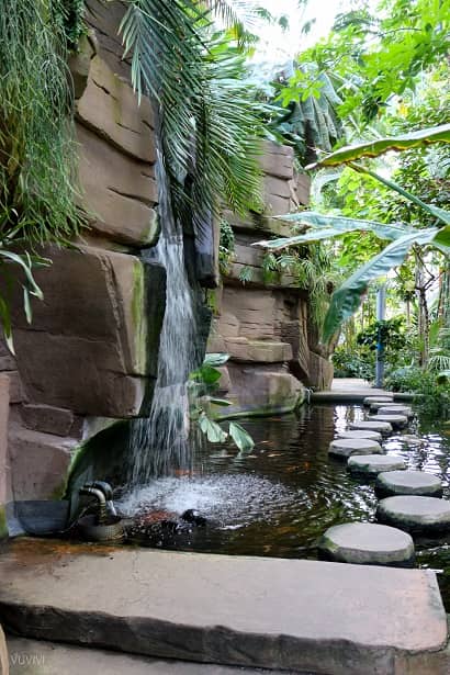 Botanischer Garten Berlin Wasserfall