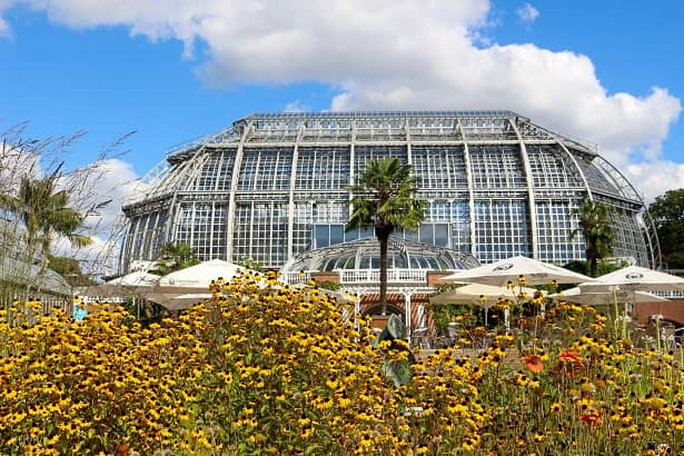 Botanischer Garten in Berlin