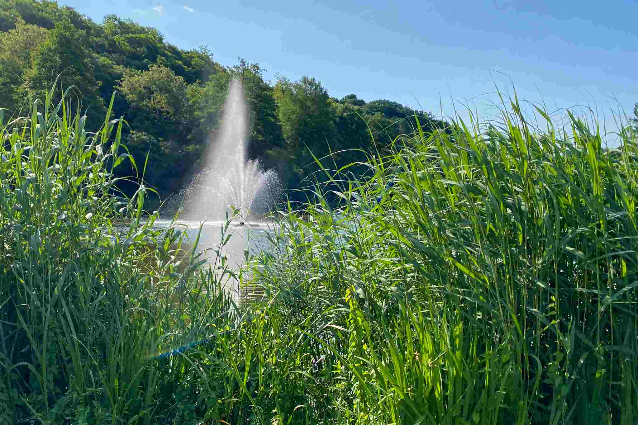 Deutsch-Franzoesischer Garten Saarbruecken Fontaene