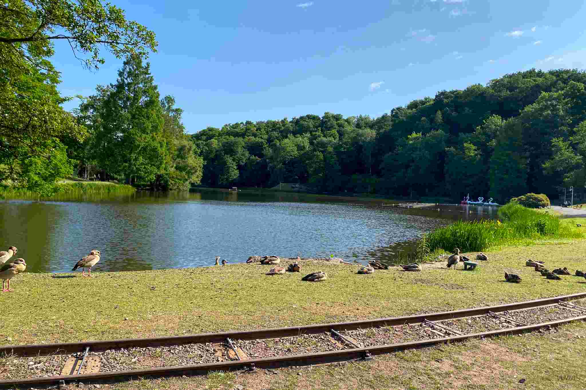 Deutsch-Franzoesischer Garten Saarbruecken mit Kindern