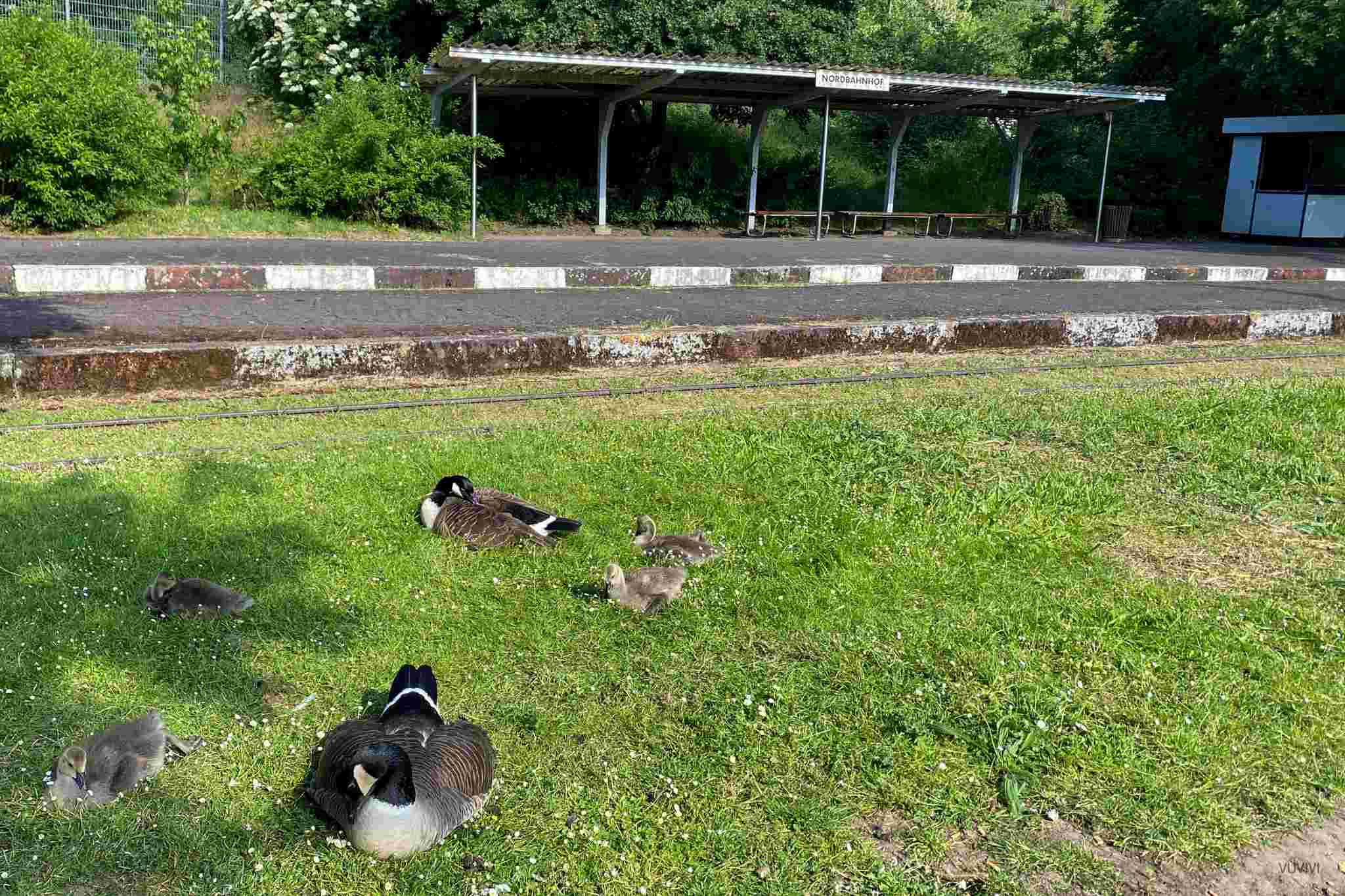 Deutsch-Franzoesischer Garten Saarbruecken Nordbahnhof