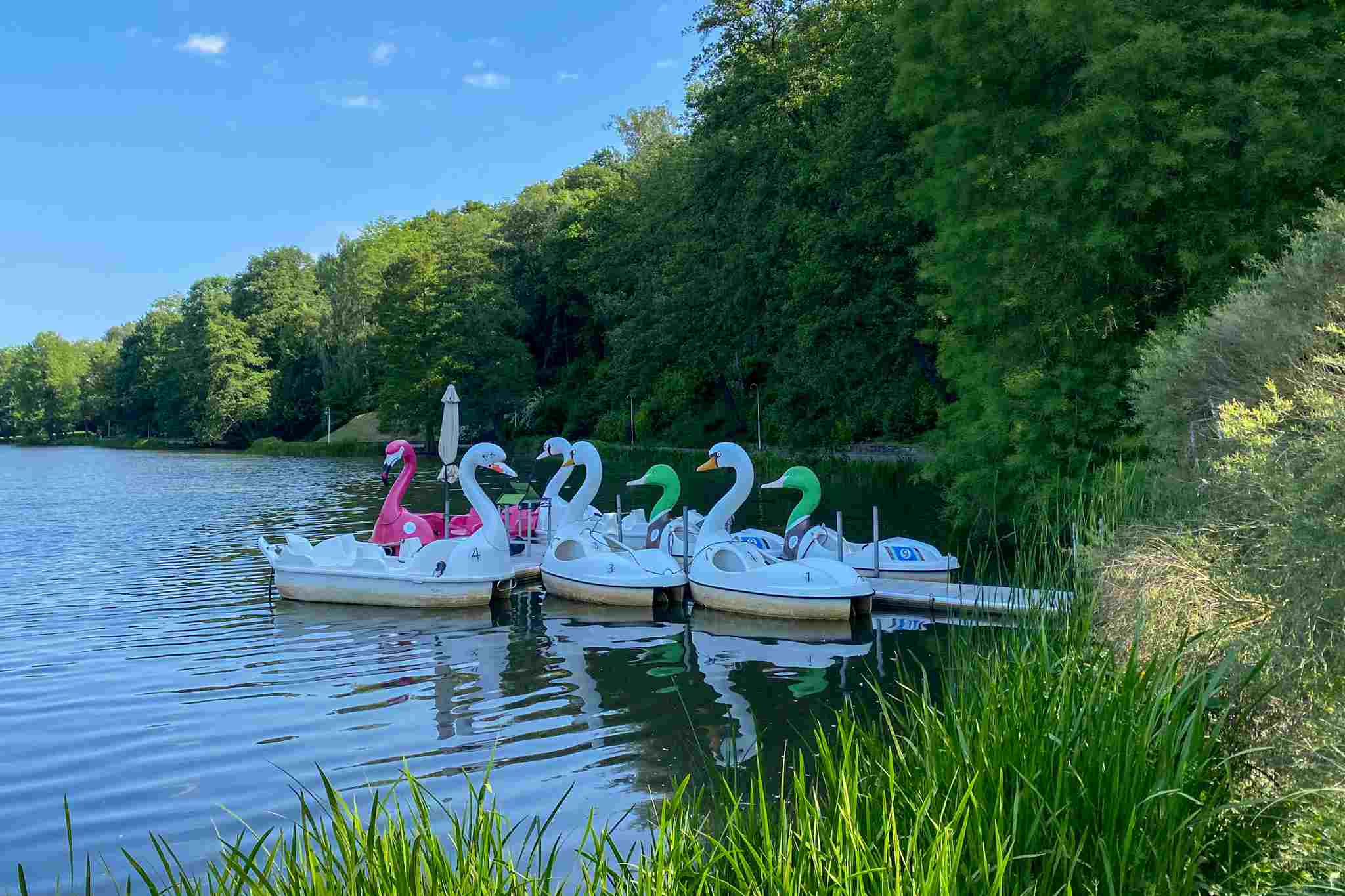 Deutsch-Franzoesischer Garten Saarbruecken Tretboot