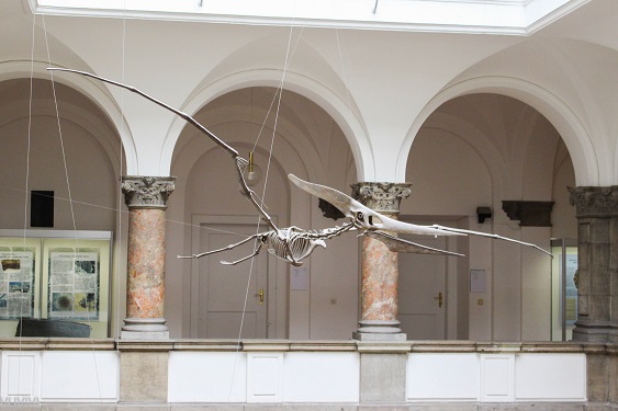 Urvogel Palaeontologisches Museum Muenchen