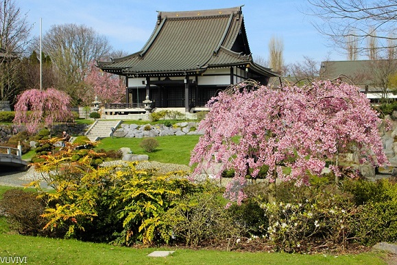 EKŌ-Haus der Japanischen Kultur
