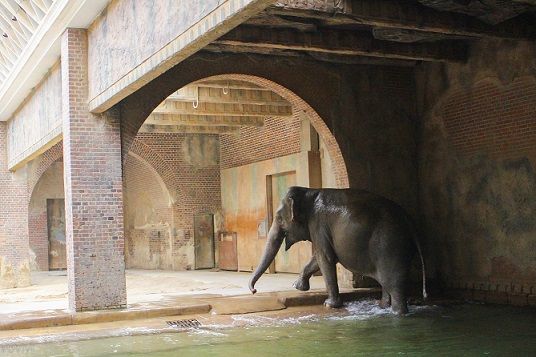 Elefanten Tempel Zoo Leipzig