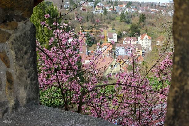 Esslinger Burg Ausfblick Frühling