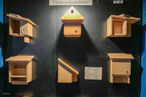 Fledermaus Keller Zitadelle Spandau Berlin