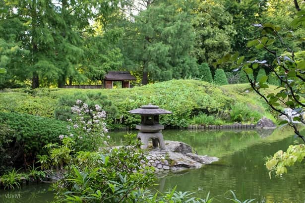 Freizeitpark Rheinaue Bonn Japanischer Garten