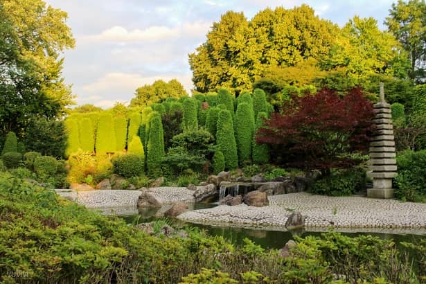Japanischer Garten Bonn Freizeitpark Rheinaue