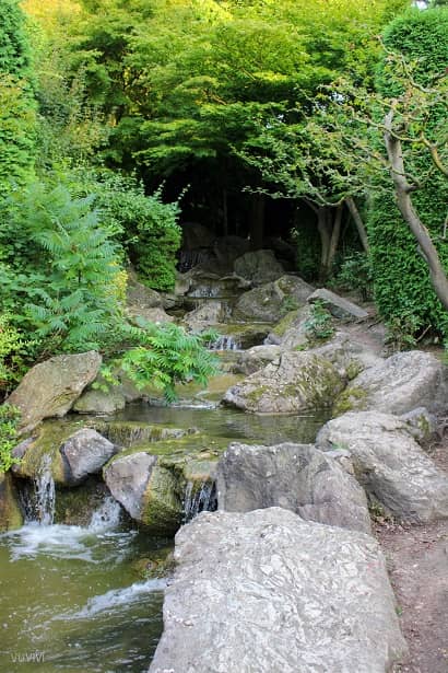 Japanischer Garten im Freizeitpark Rheinaue Bonn