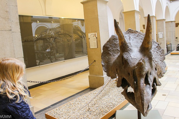 Kinder Ausflugsziel Muenchen Palaeontologisches Museum