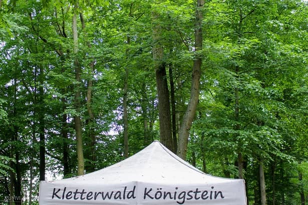 Kletterwald Königstein Ausflug