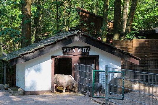 Kobelt Zoo Frankfurt Schwanheim