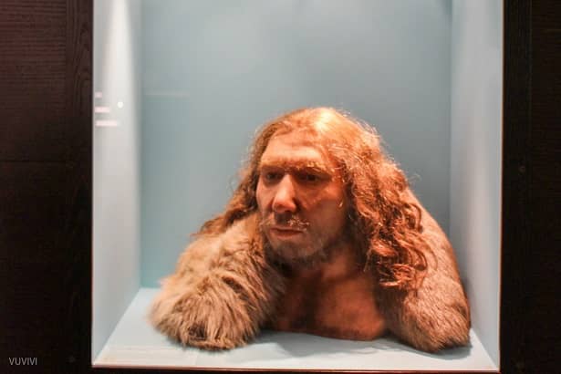 LVR Landesmuseum Bonn Neandertaler