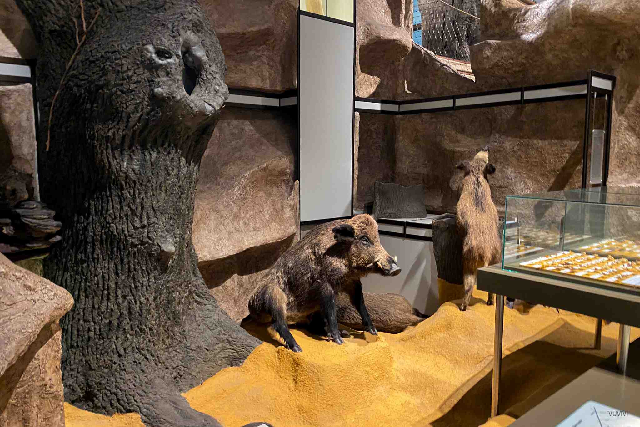 Museum Naturkunde Magdeburg Ausflug Idee