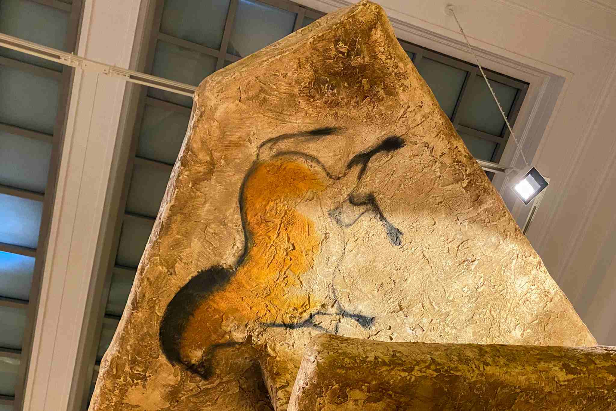 Museum Naturkunde Magdeburg Ausflugsziel