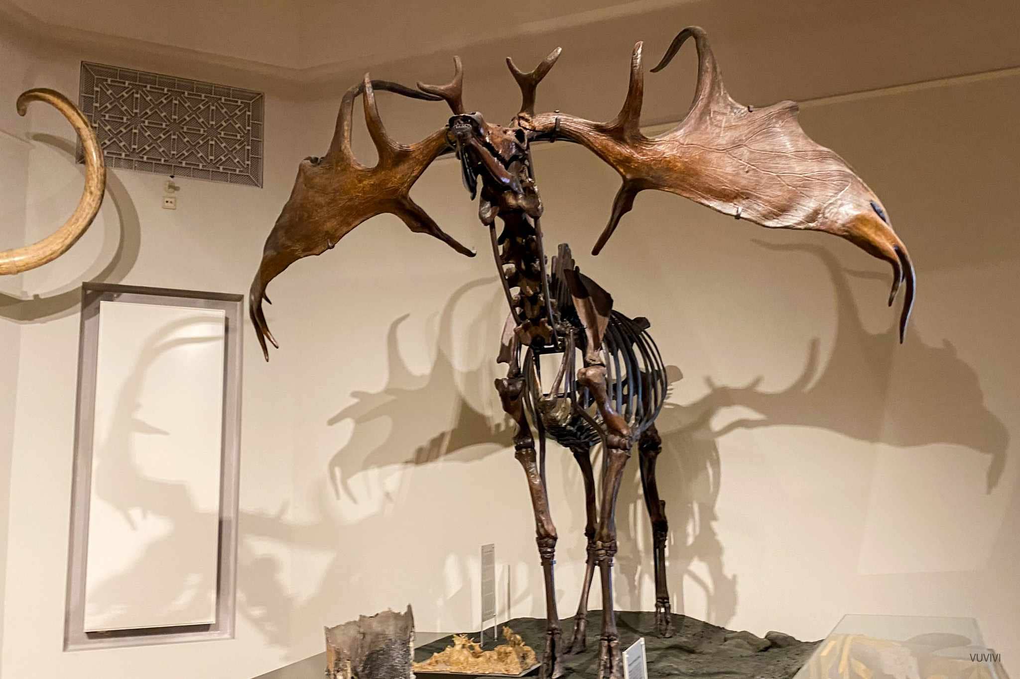 Museum Naturkunde Magdeburg Familie Ausflug