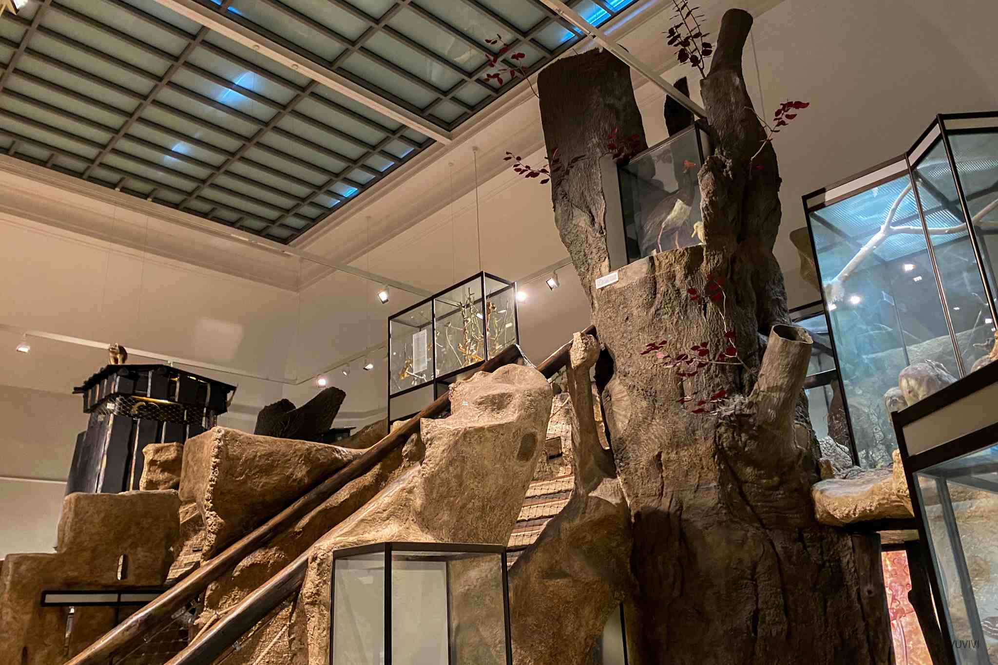 Museum Naturkunde Magdeburg Kinder