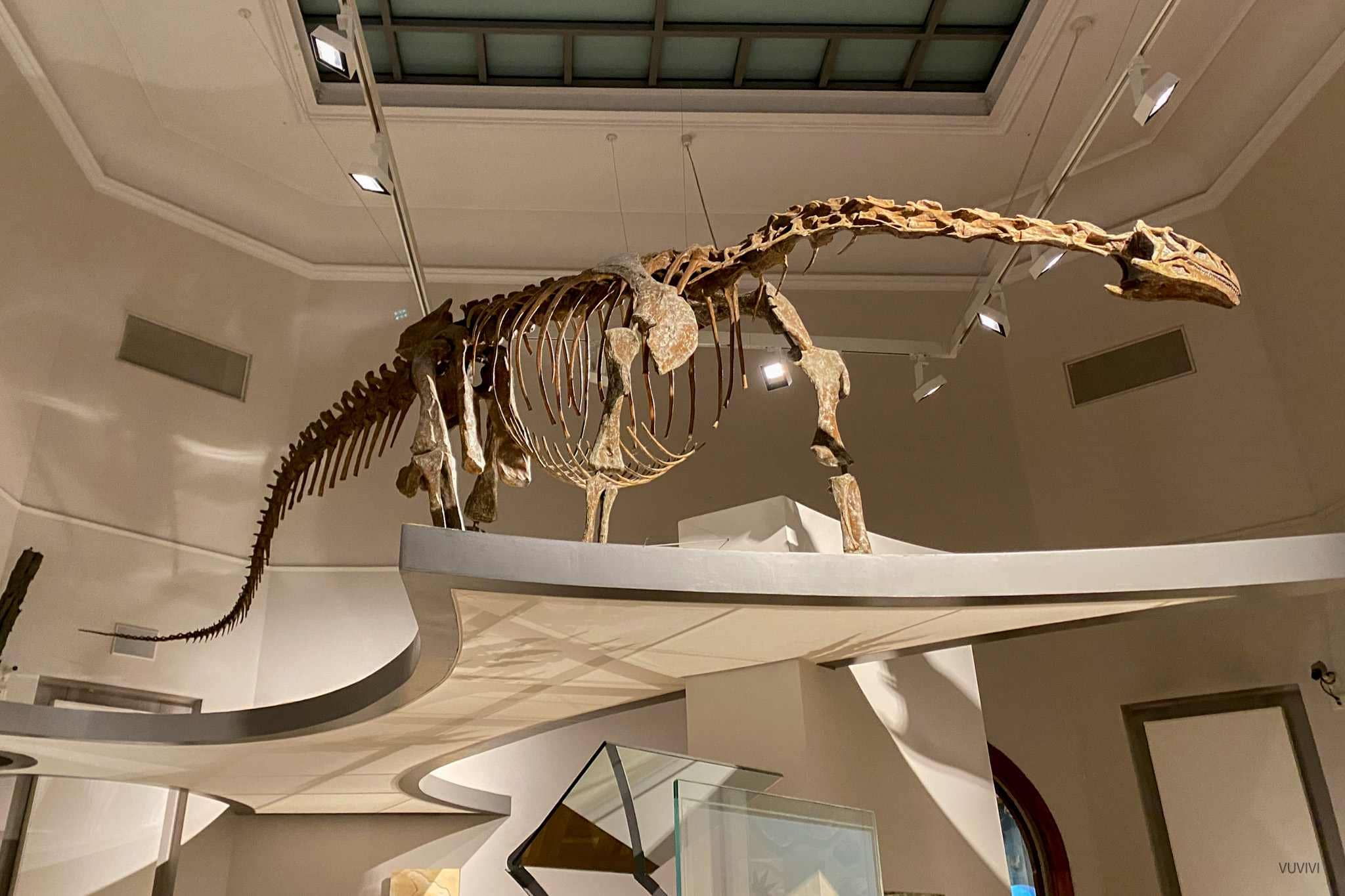 Museum Naturkunde Magdeburg mit Kindern