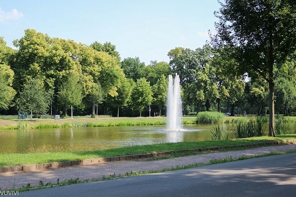 Natur Clara-Zetkin-Park Leipzig Familie