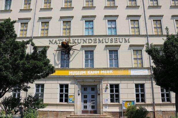 Naturkundemuseum Kinder Leipzig