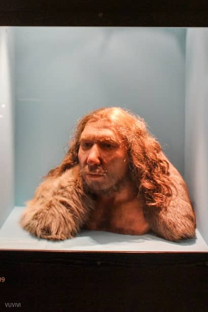 Neandertaler LVR Landesmuseum Bonn