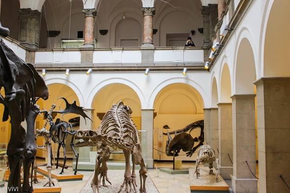 Palaeontologisches Museum Muenchen Lichthof Dinos
