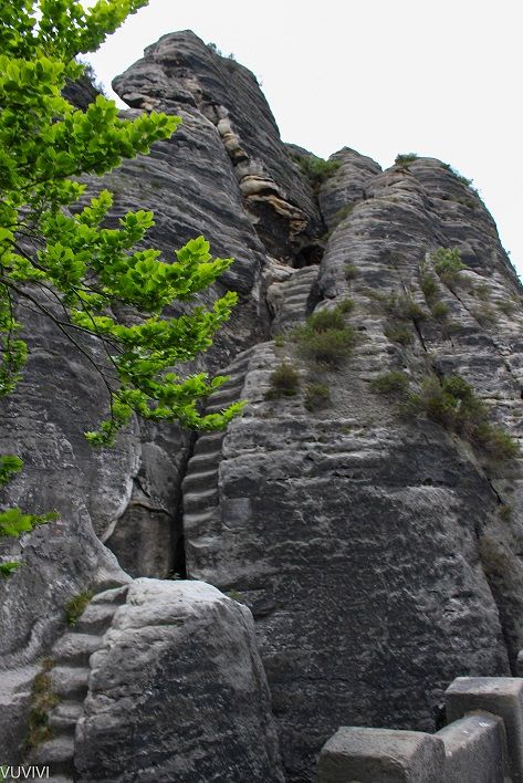Sächsische Schweiz Felsen Natur