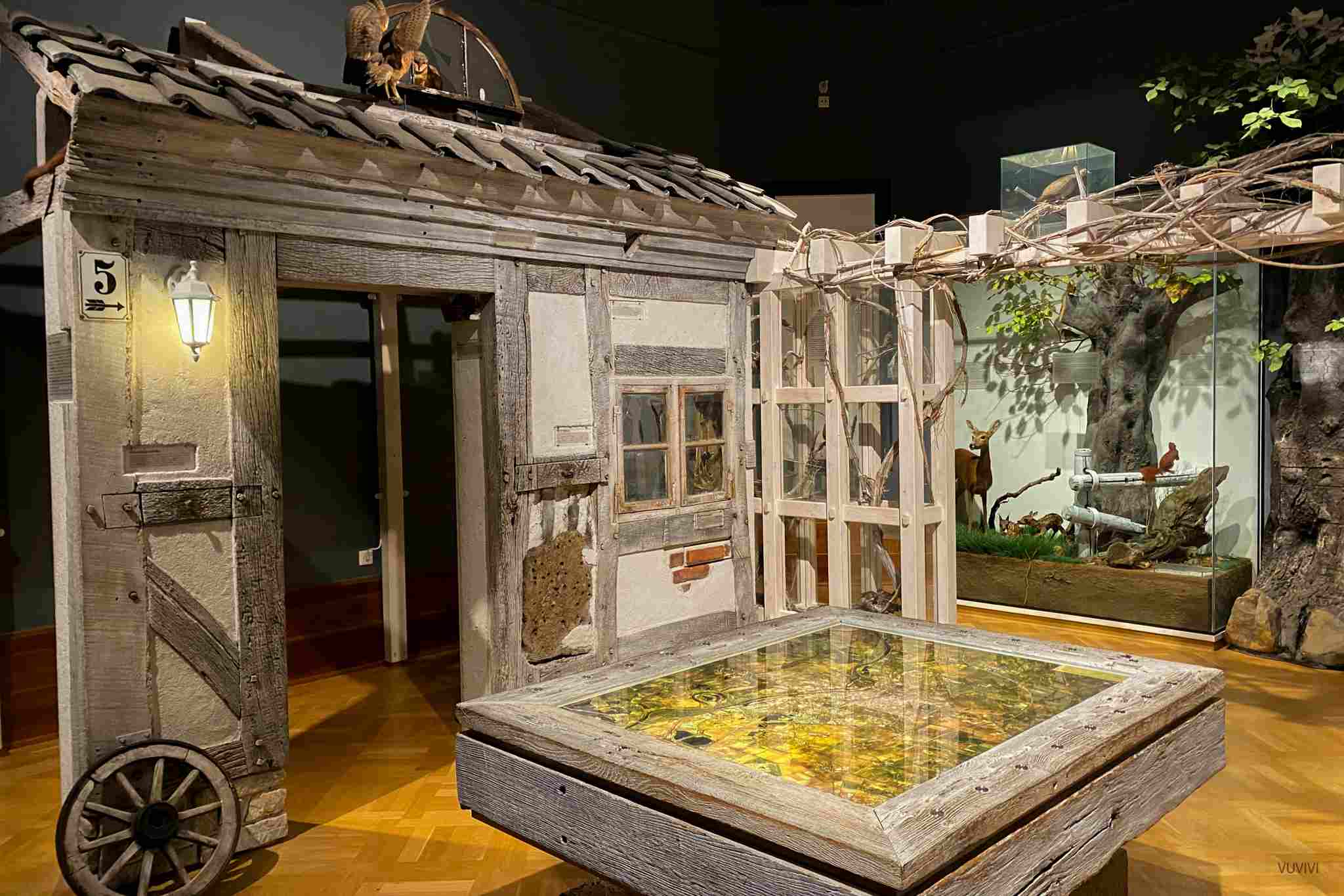 Tipp Museum Naturkunde Magdeburg