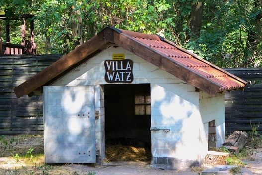 Villa Watz Kobelt Zoo Frankfurt