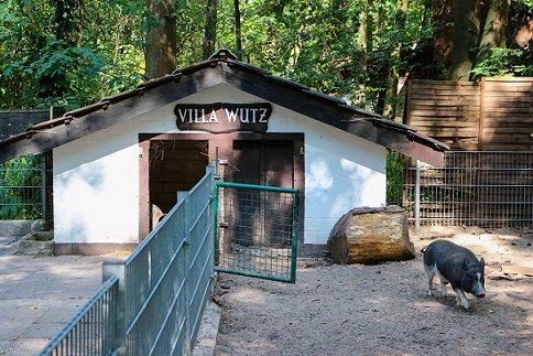 Villa Wutz Kobelt Zoo Frankfurt