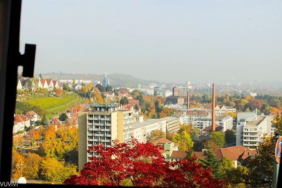 Weinberge Stuttgart Citytour